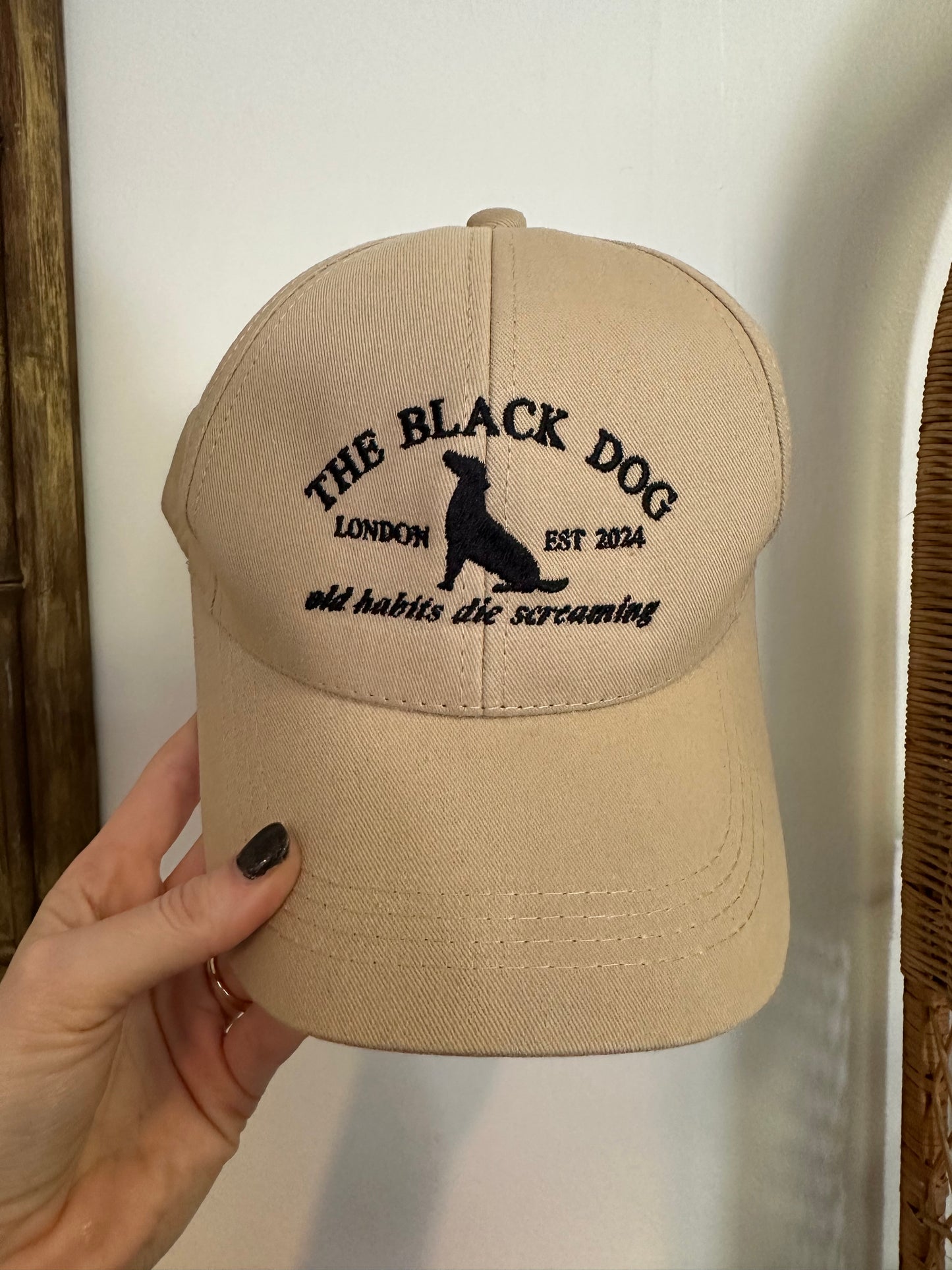 Embroidered Hats