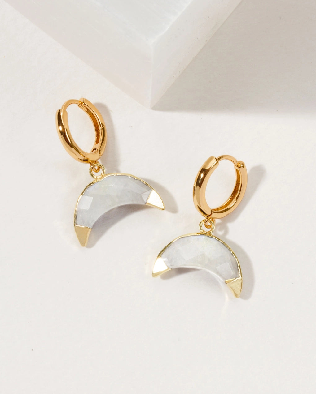 Crescent Horn Huggie Hoop Earrings