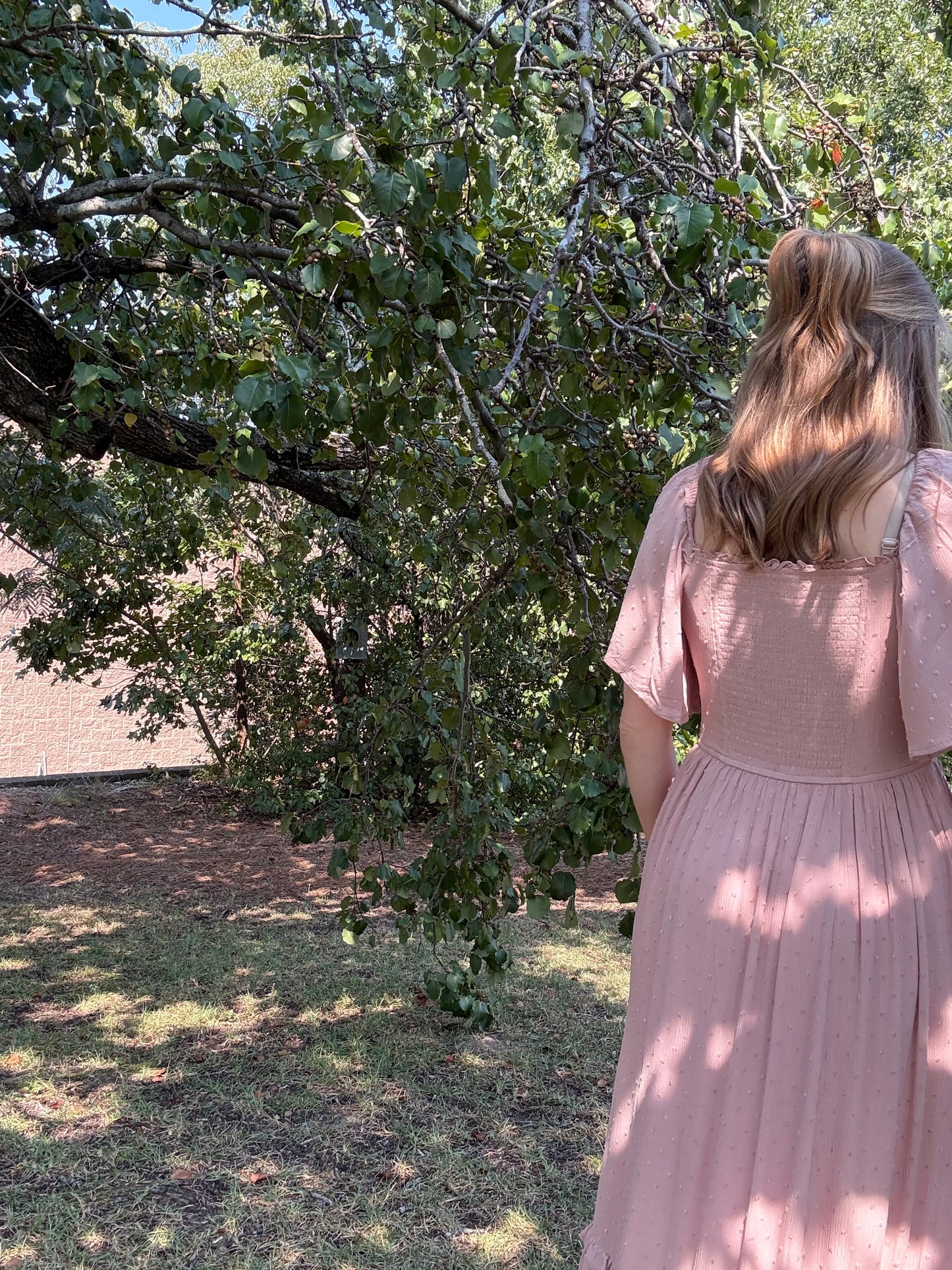 Tea Rose Swiss Dot Maxi Dress