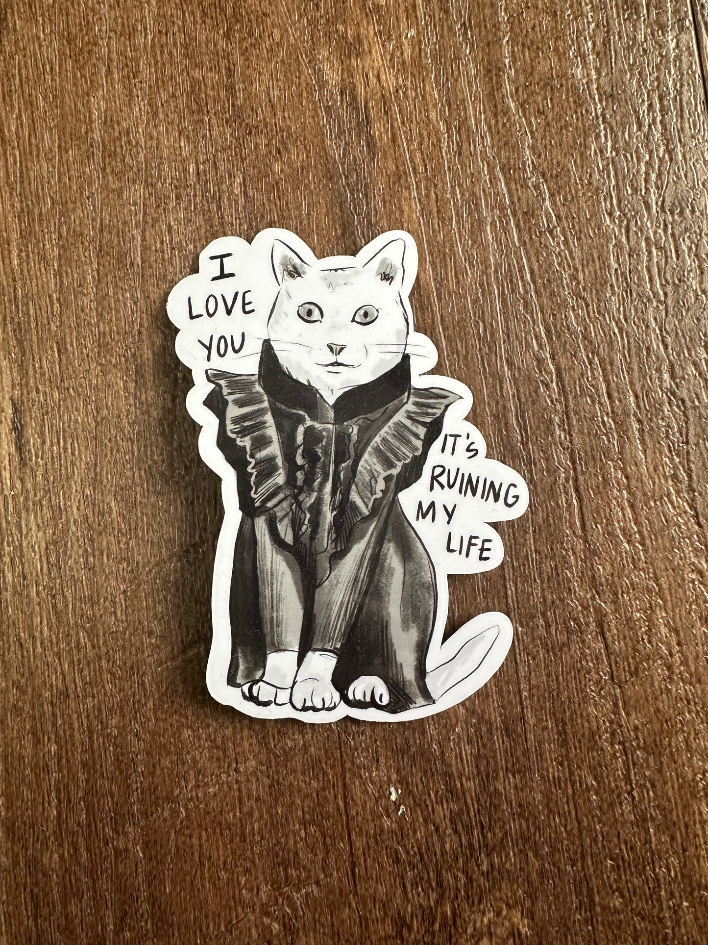 Cat Stickers Songs