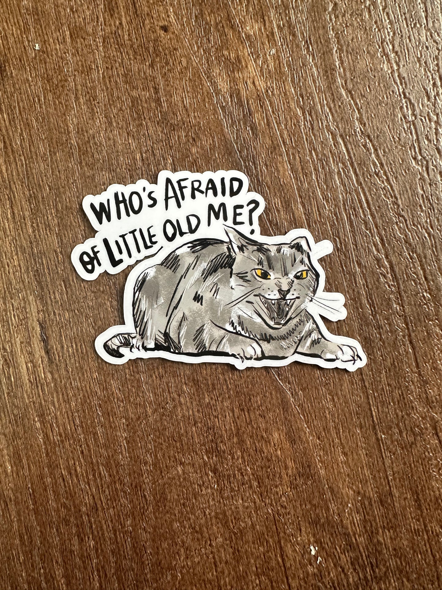 Cat Stickers Songs