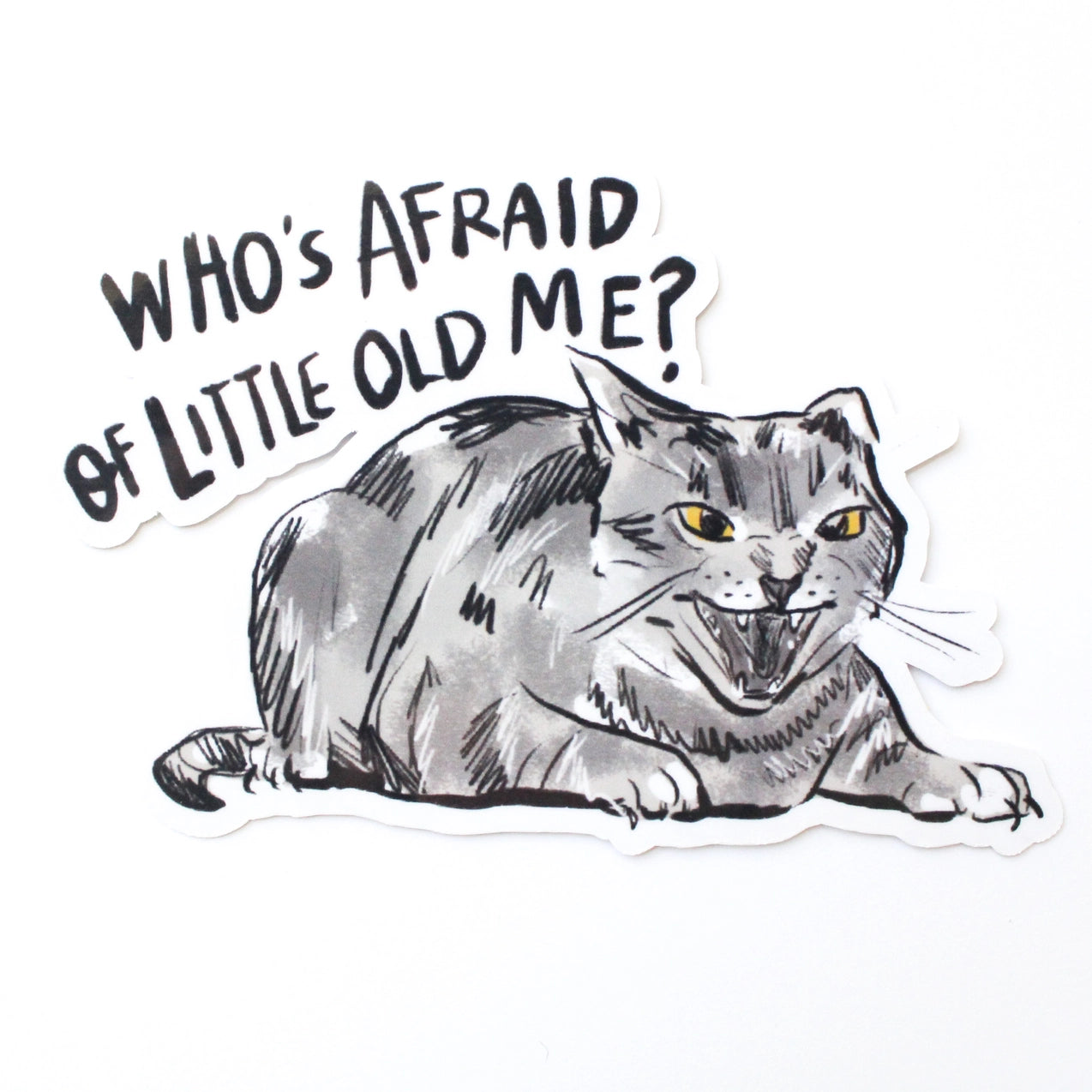 Cat Stickers Songs