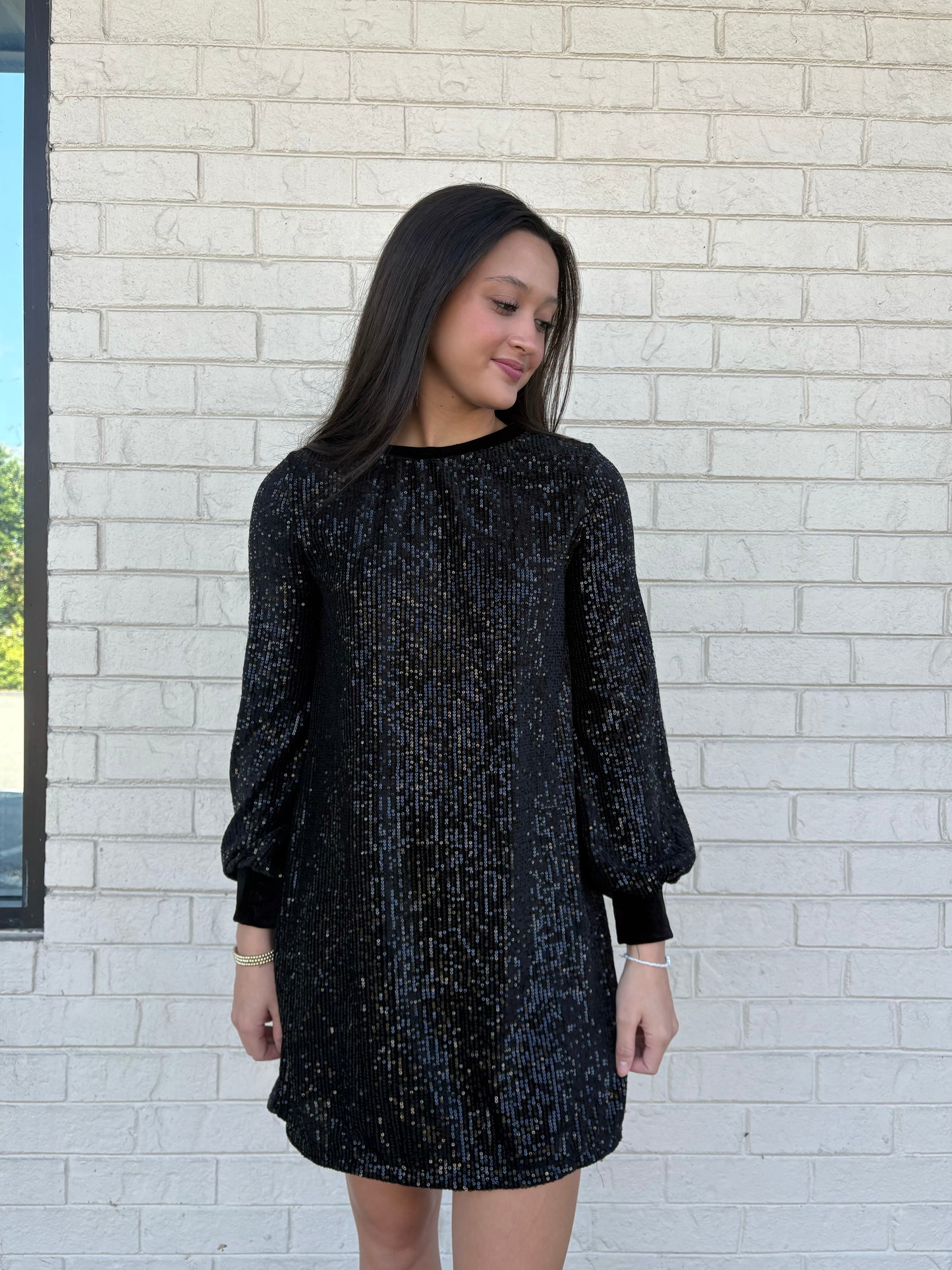 Avery Velvet Sequin Dress