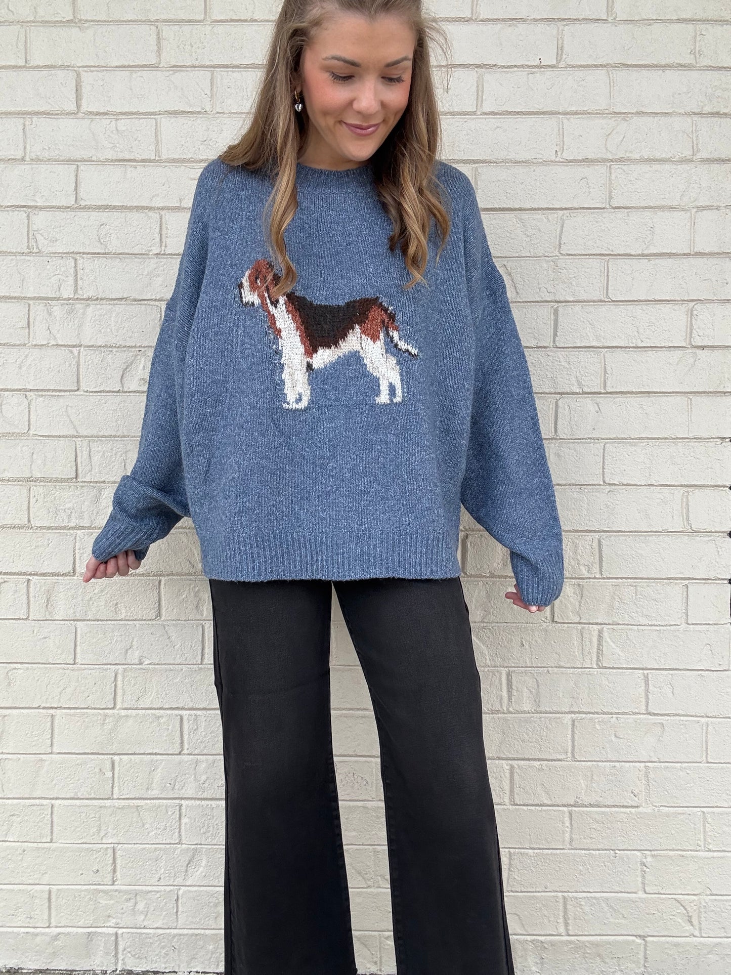 Blue Dog Print Sweater