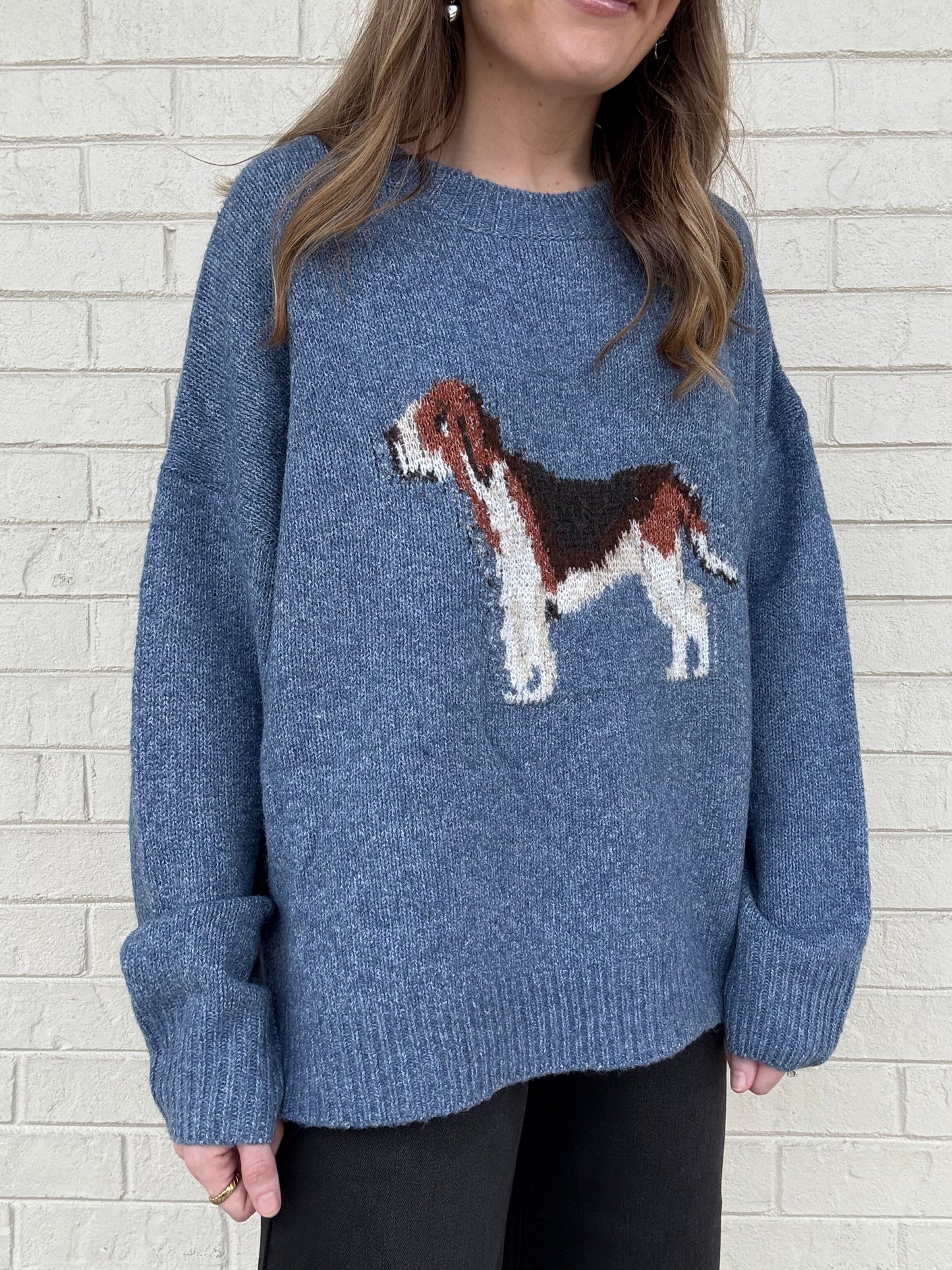 Blue Dog Print Sweater