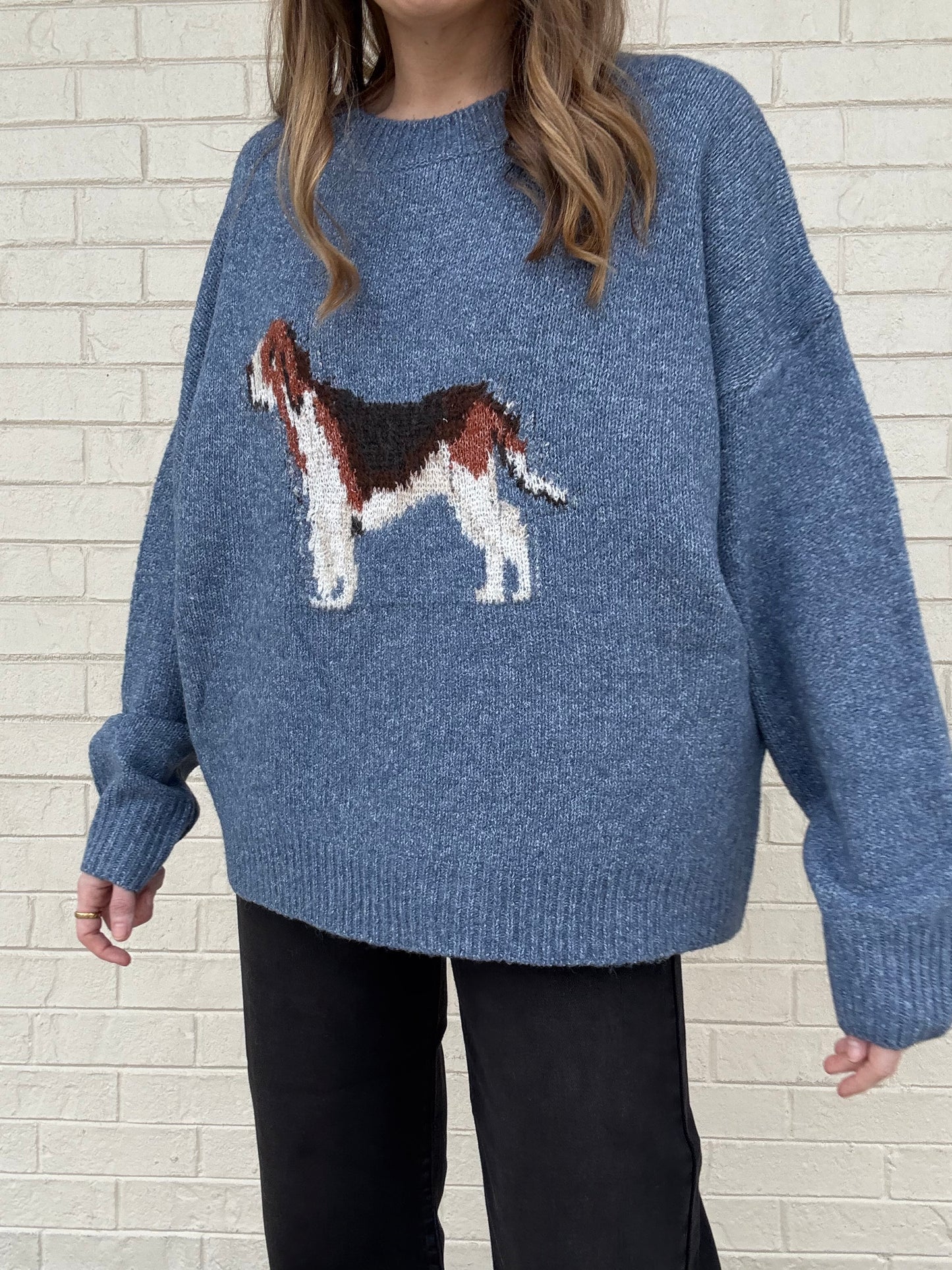 Blue Dog Print Sweater