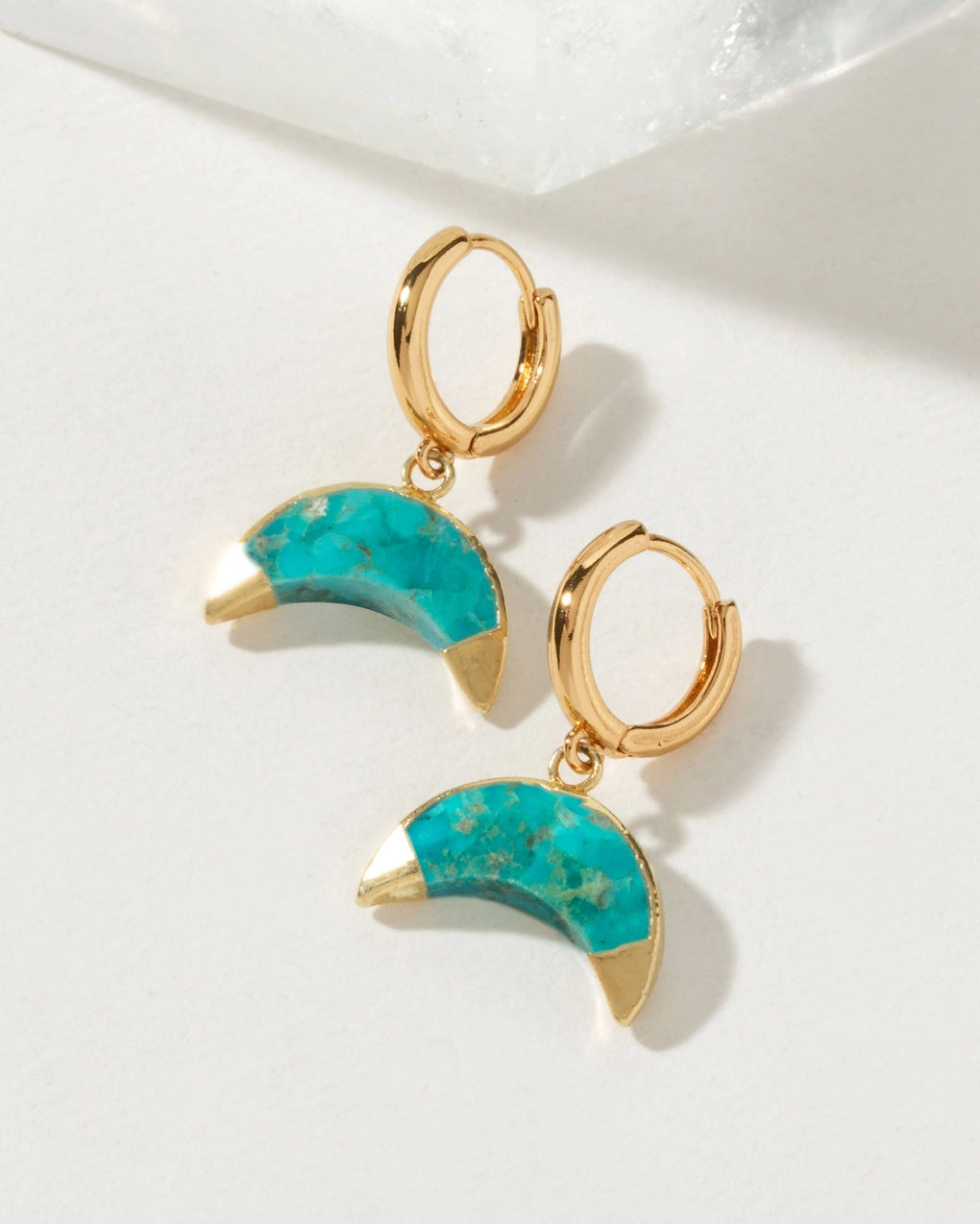 Crescent Horn Huggie Hoop Earrings