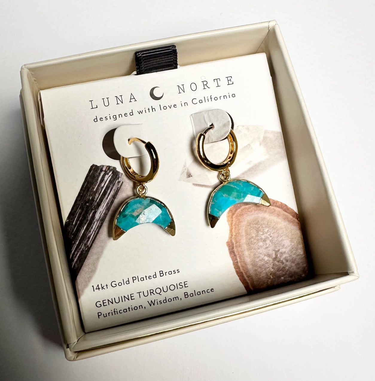 Crescent Horn Huggie Hoop Earrings