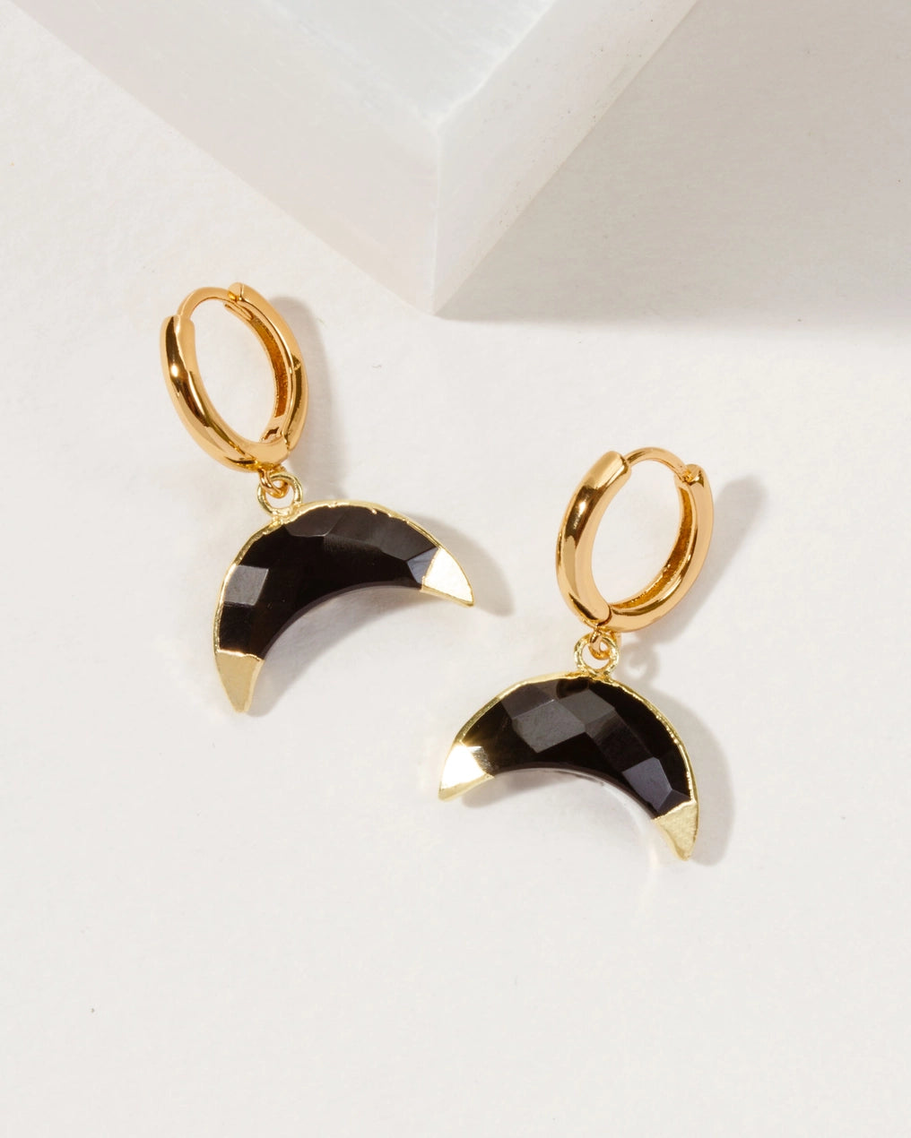 Crescent Horn Huggie Hoop Earrings