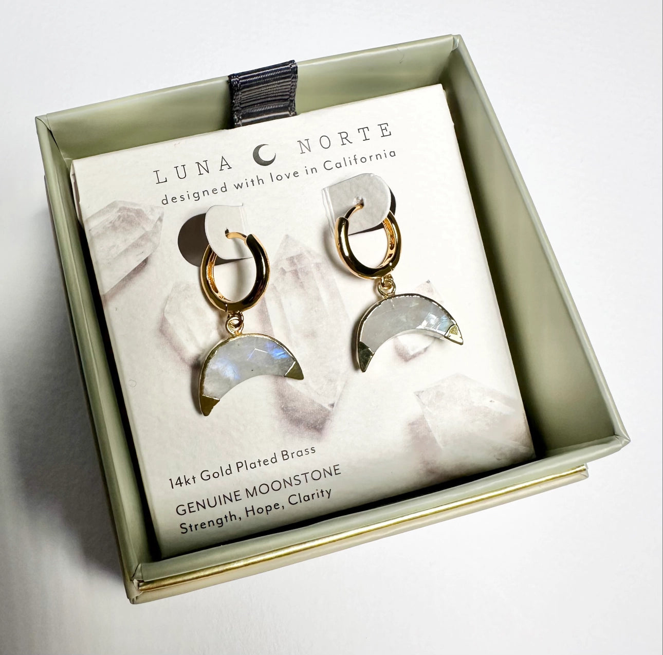 Crescent Horn Huggie Hoop Earrings