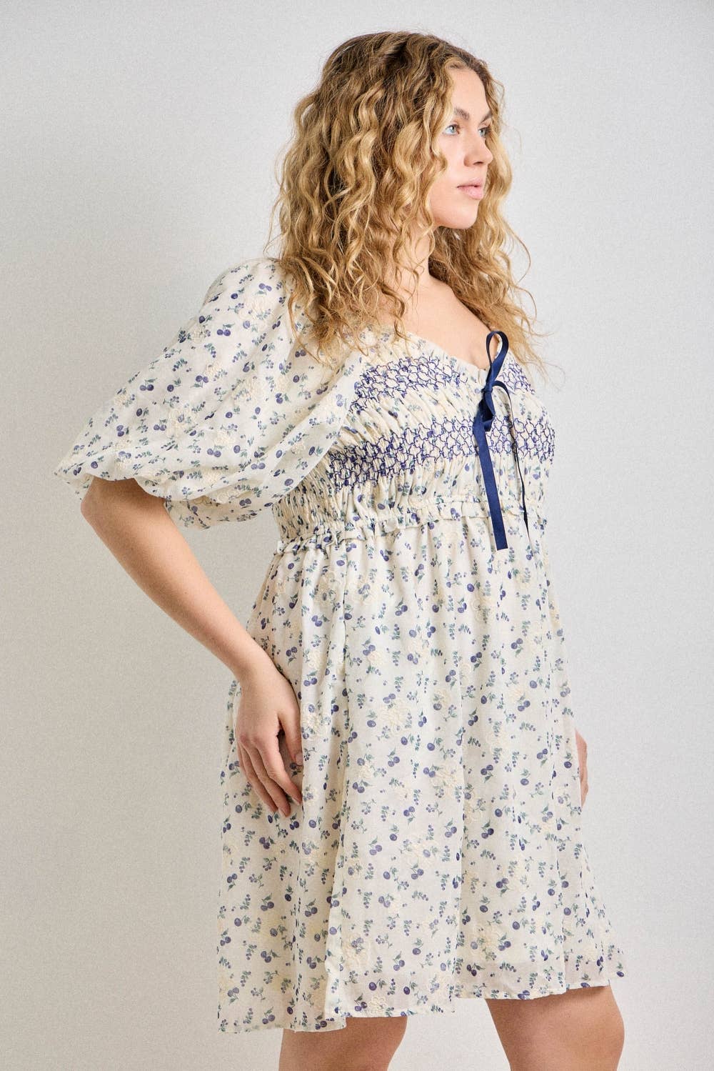 Melissa Floral Embroidered Mini Dress