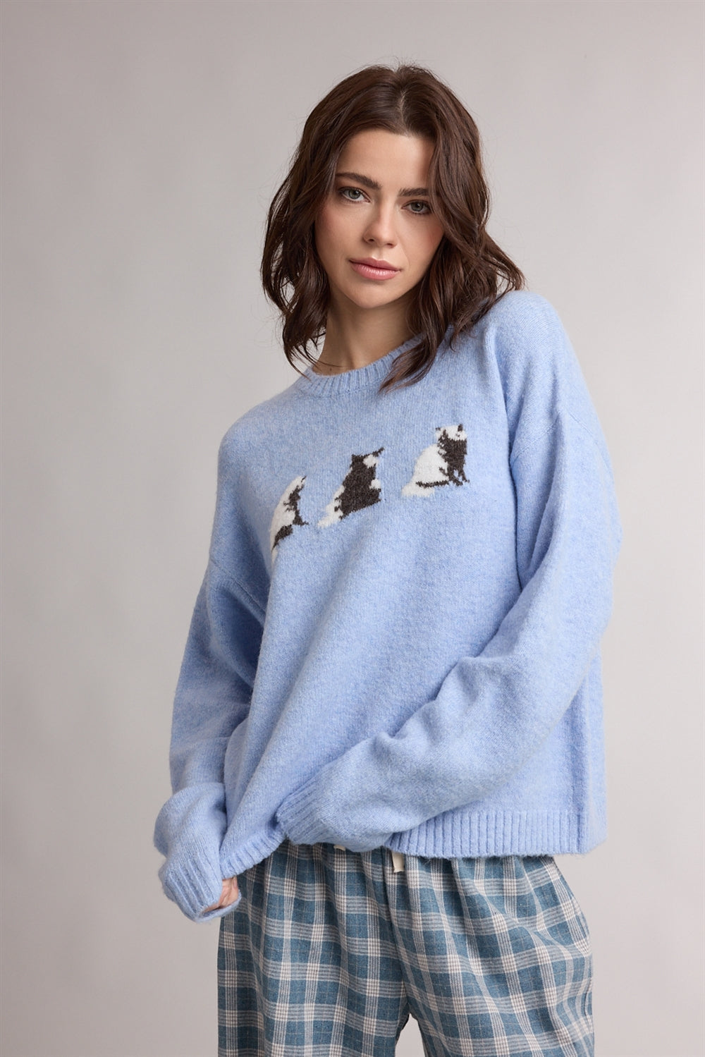 Blue Cat Trio Sweater