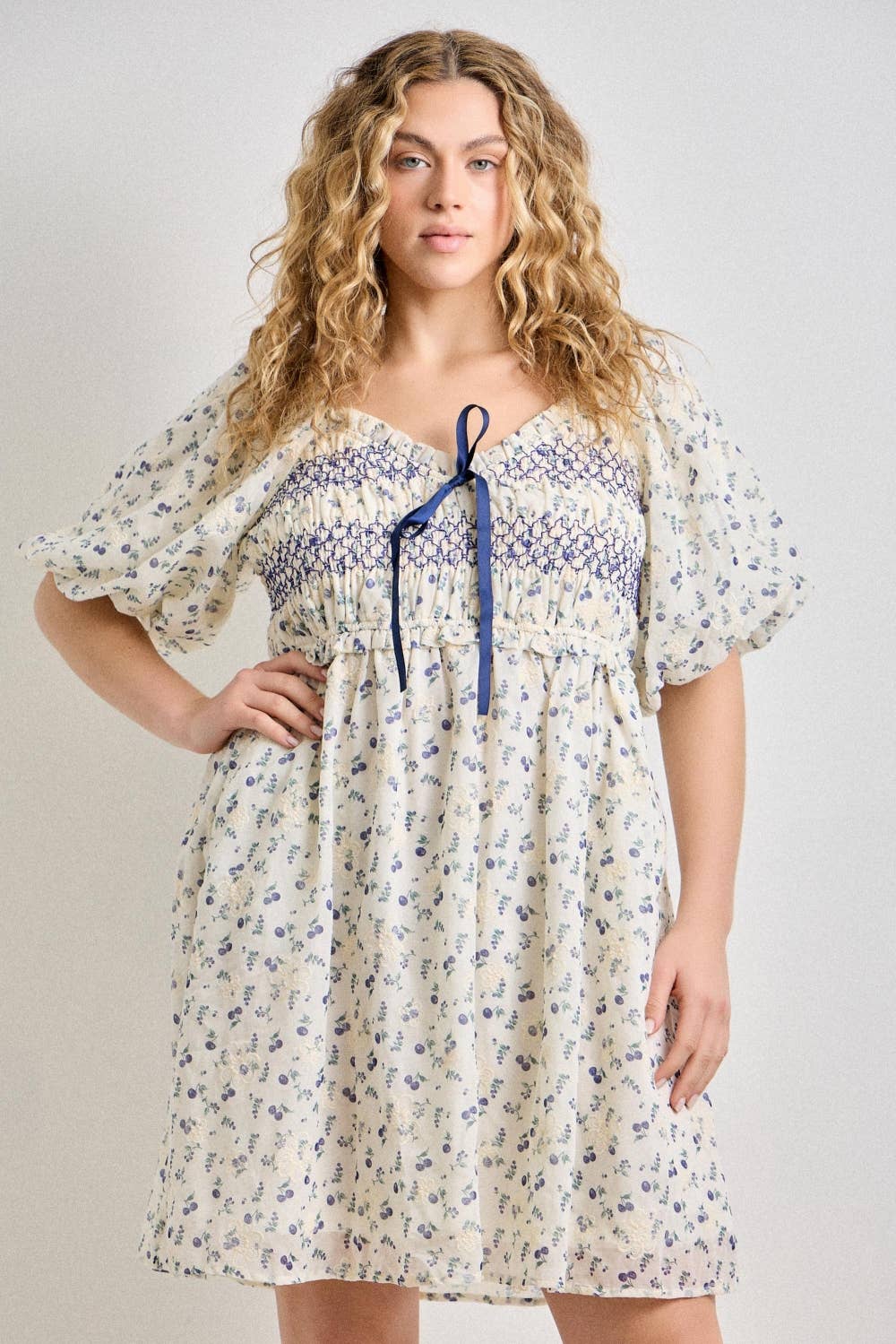 Melissa Floral Embroidered Mini Dress