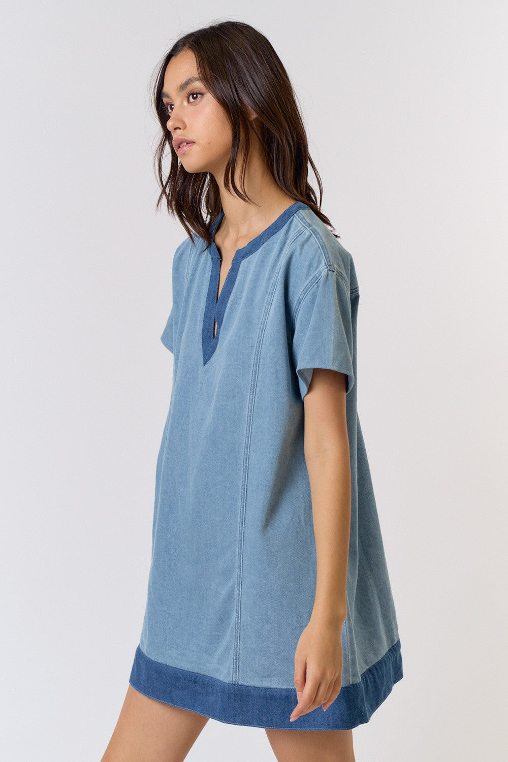 Robin Denim Dress