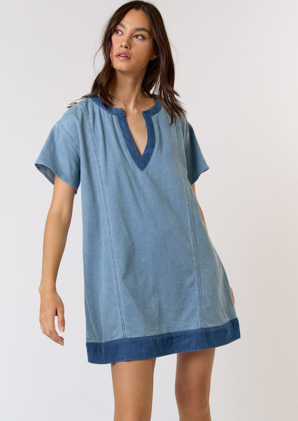 Robin Denim Dress