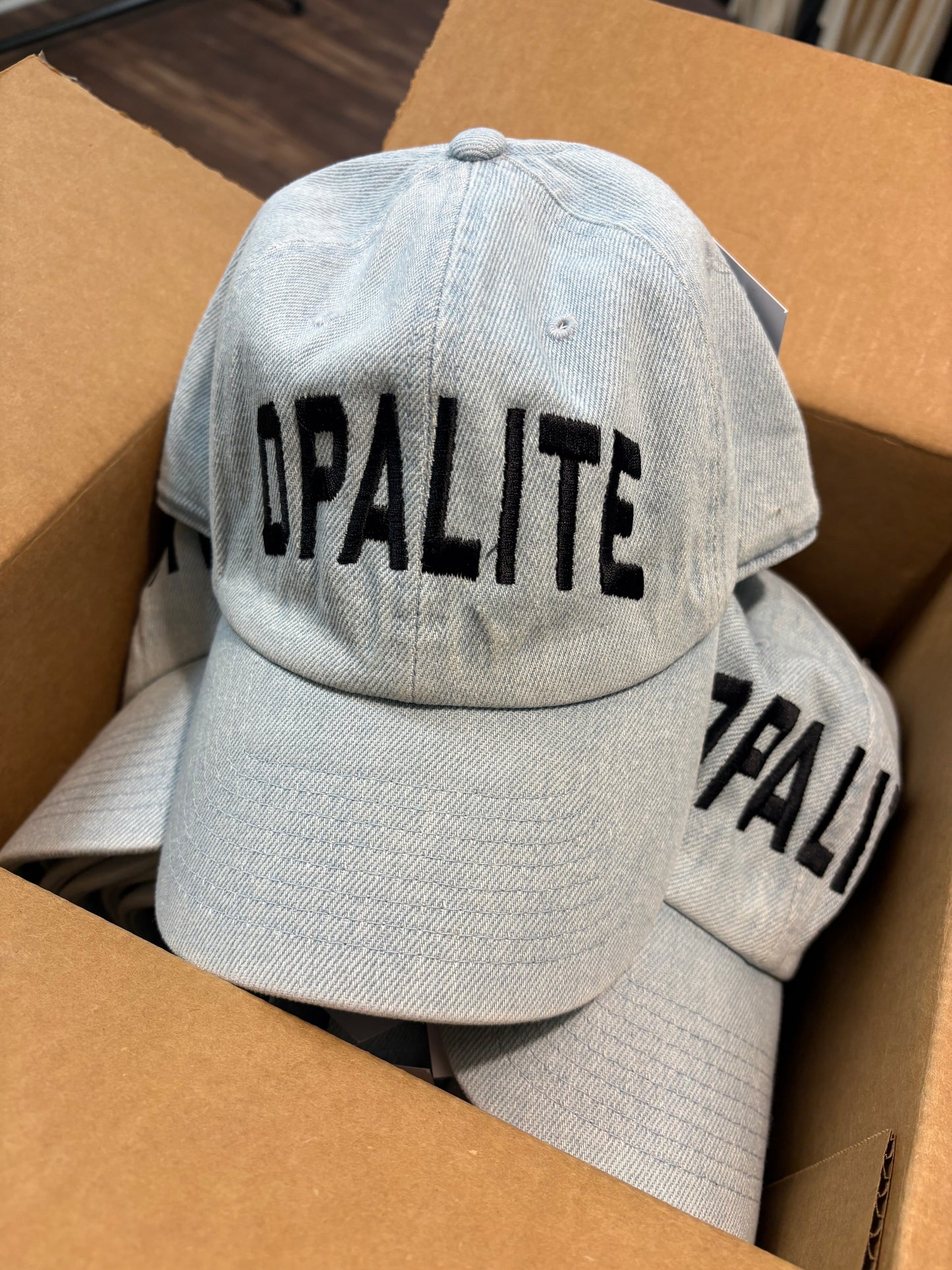 Opalite Embroidered Hat