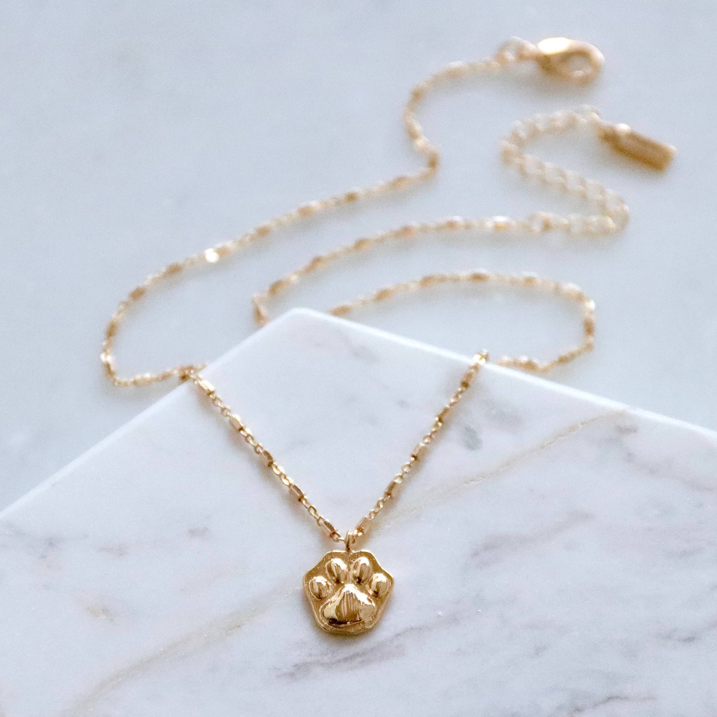 18K Paw Necklace