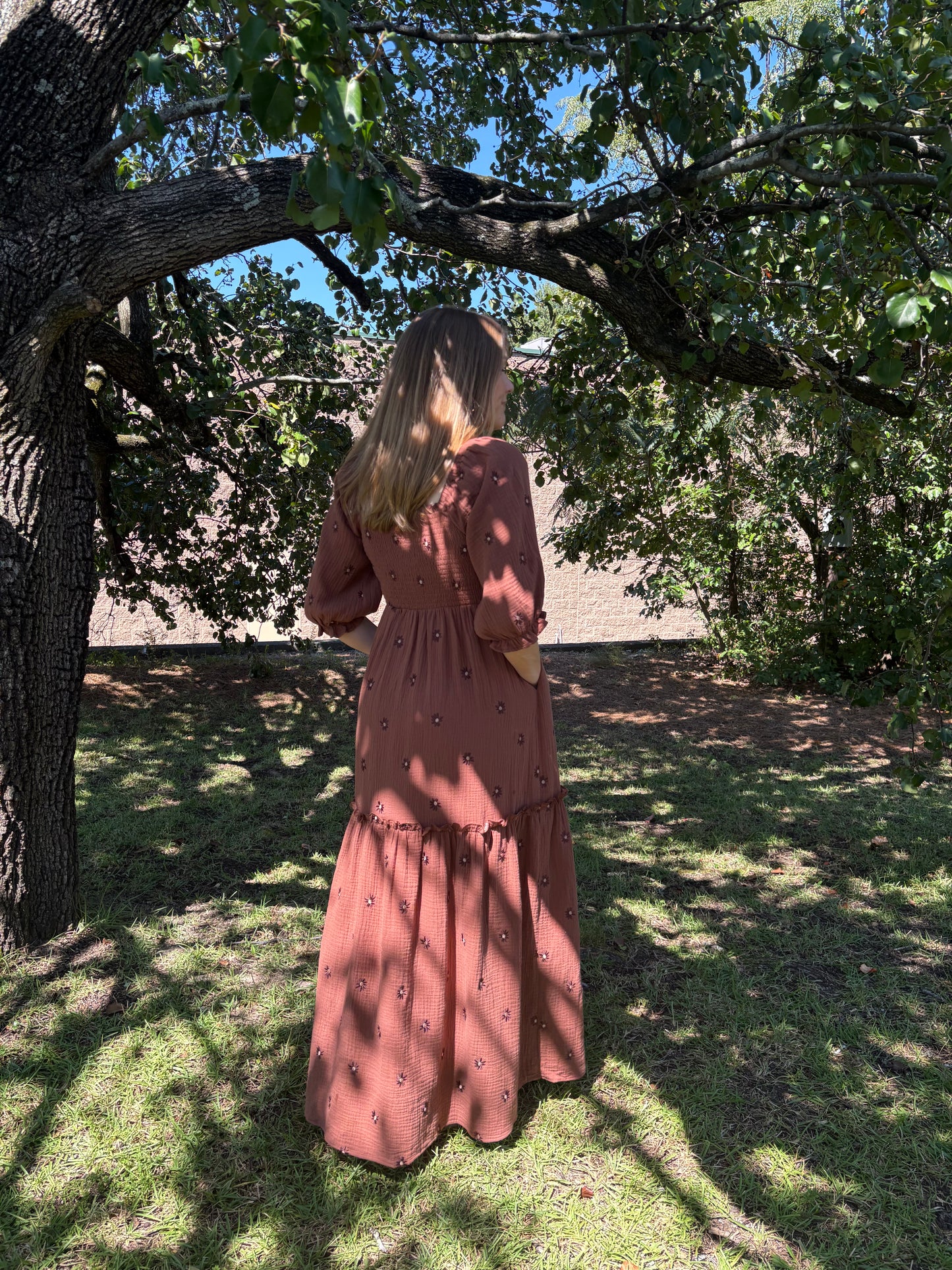 Bailey Chocolate Embroidered Maxi Dress