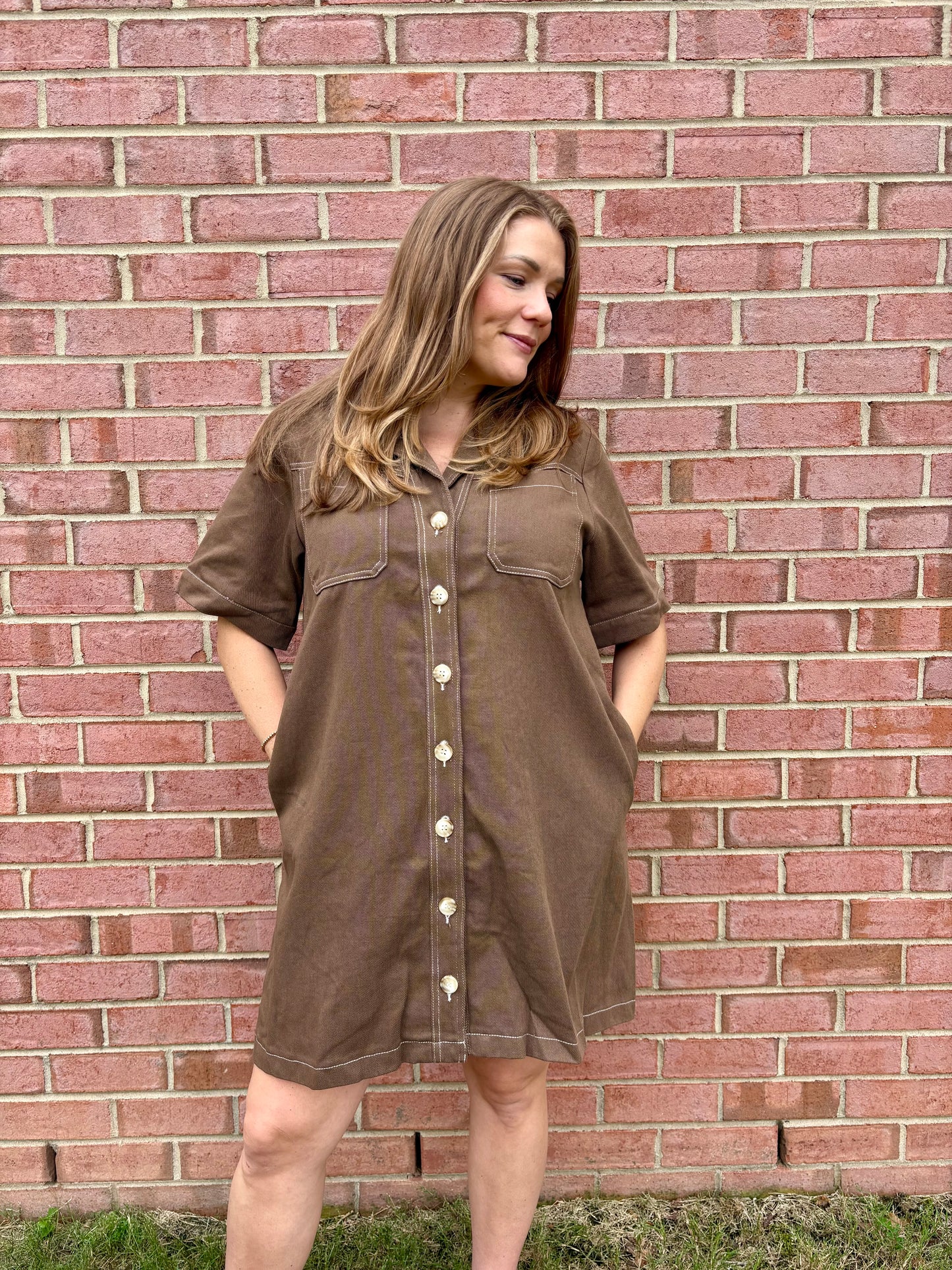 Evermore Brown Denim Dress