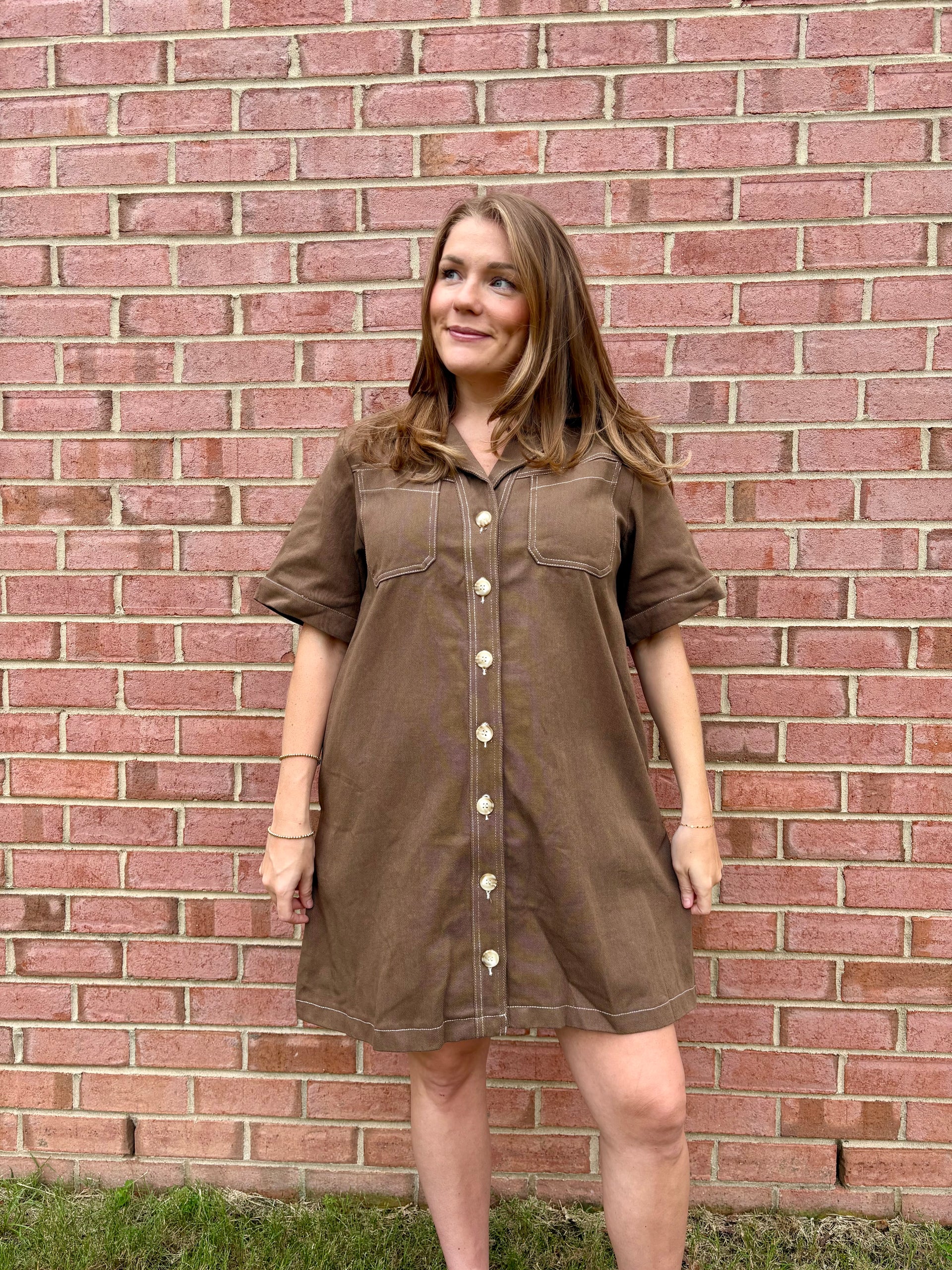 Evermore Brown Denim Dress