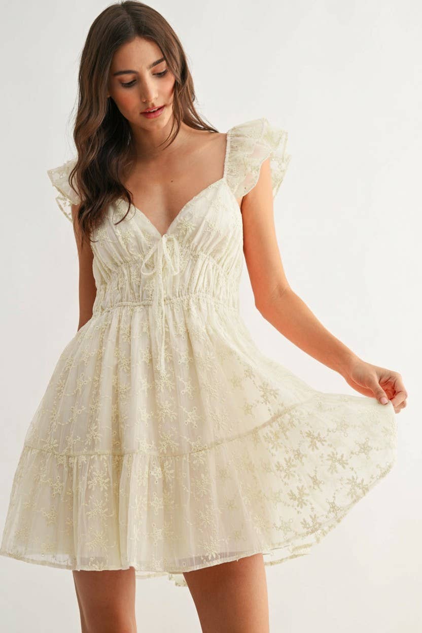 Ivory Chiffon Embroidered Dress