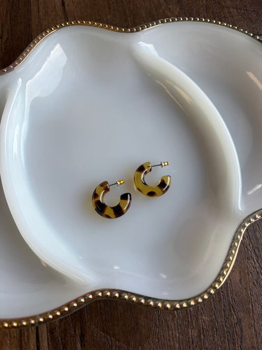 Mini Tortoise Hoops