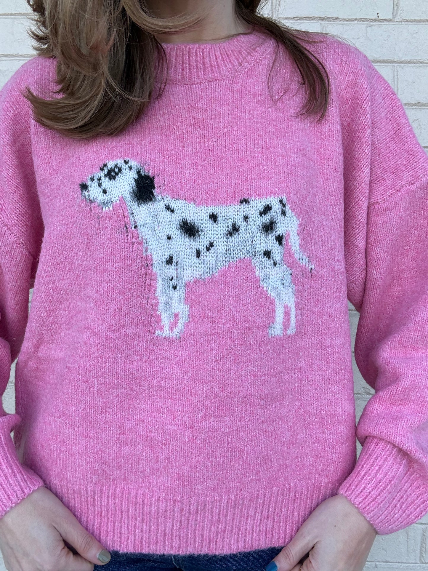 Pink Dalmatian Sweater