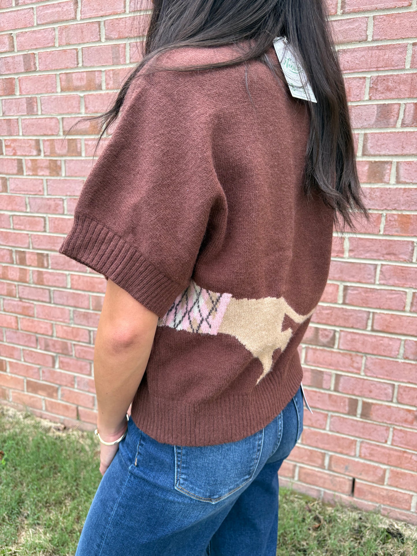 Doxie Short Sleeve Sweater Top