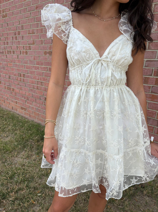 Ivory Chiffon Embroidered Dress