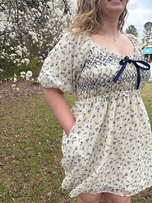 Melissa Floral Embroidered Mini Dress