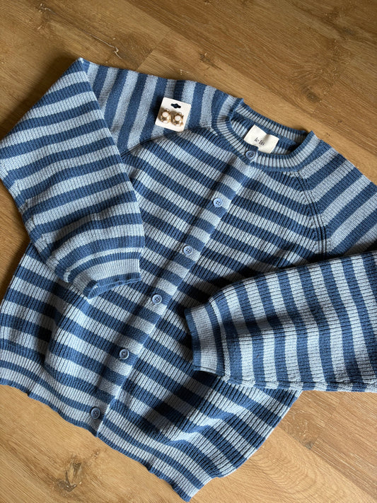 Shades of Blue Striped Cardigan